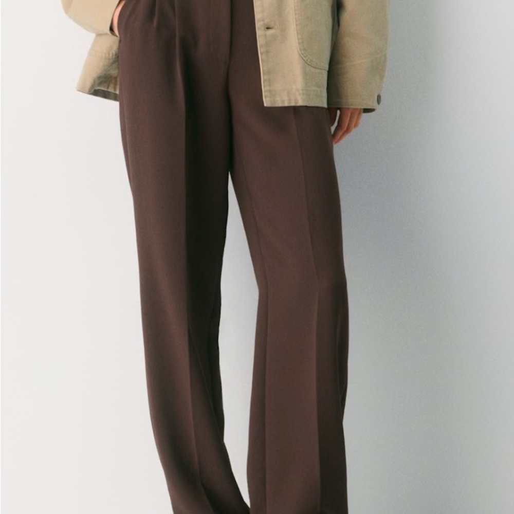 Aritzia Chocolate Brown Women's Trousers